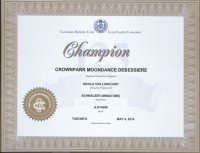 certificatchampionnat Dance