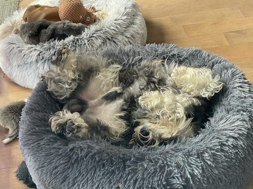 Relaxe dans les coussins anti-stress