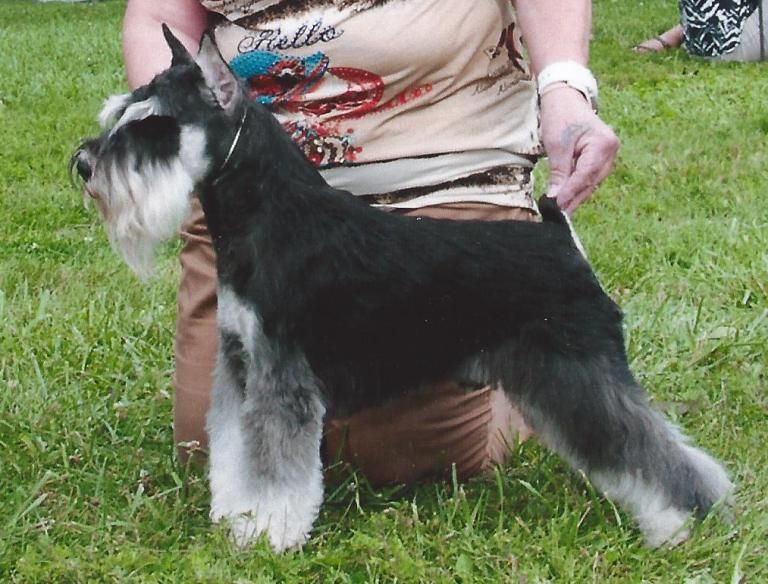 Don Juan Best Bredby 2013