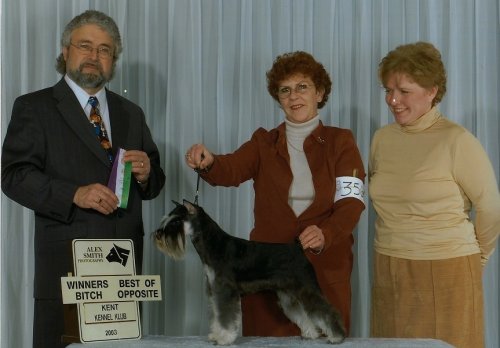 Debessiere Jayar Star