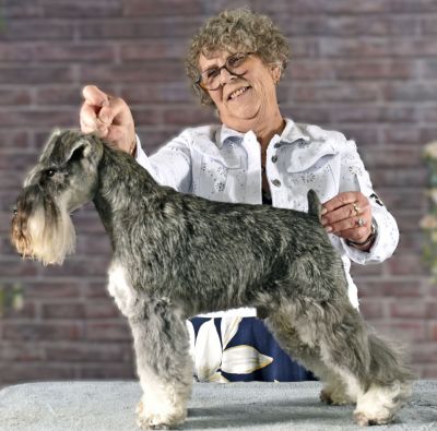 Ca.Ch.Debessière Play Boy 2023