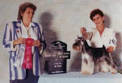 Can.Ch.Debessière Fantaisie Rebelle 2000