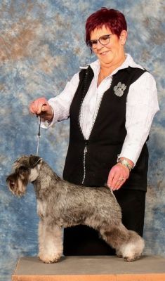 Am,GCan.Ch.Debessière Crazy Love 2018