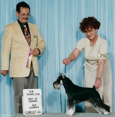 Can.Ch.Debessière Ange Rebelle 2004