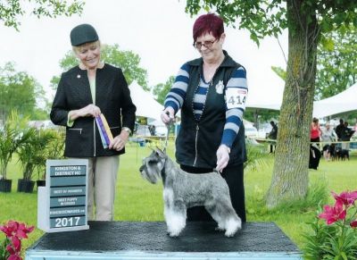 Can.Ch. Debessière Tomohisa 2017