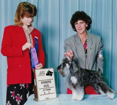 Can.Ch. Debessière Black Devil 1993