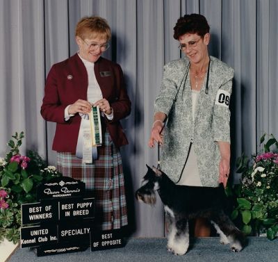 Can Ch. Debessière Sambuka 1998