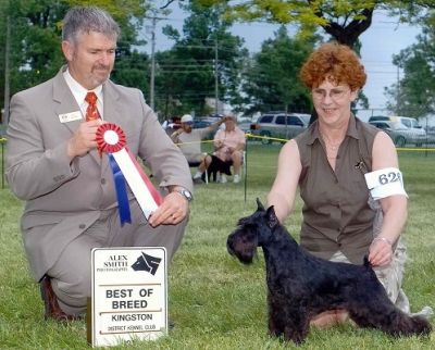Can.Ch.Debessière Black Rebelle 2003