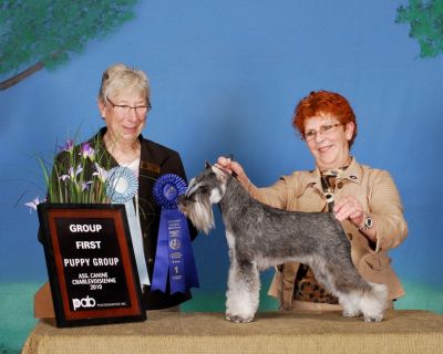 Can.AM.Ch.Debessière Gutaï 2010