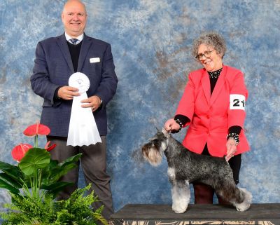 Can.GCh. Destineez Candy Man @ Debessière 2025