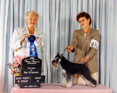 Can.Ch Debessiere Flash Dance 2001