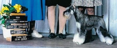 Can.Ch.Debessière Scharlen De Franjis 1993