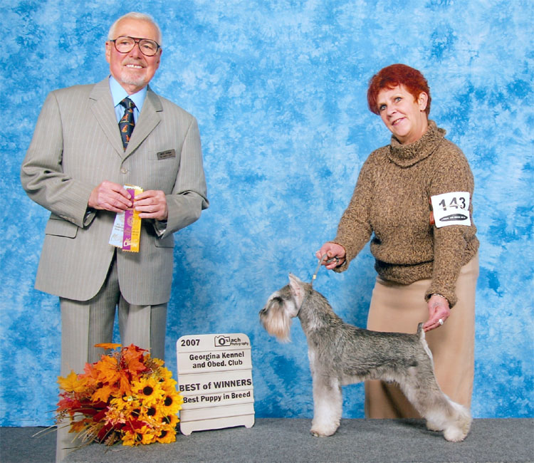 Can.Ch. Debessière Toxedo Boy 2008