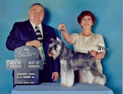 Can.Ch. Debessière Mystery Star 2004