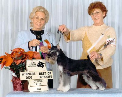 Can.Ch.Debessière Flash Story 2003