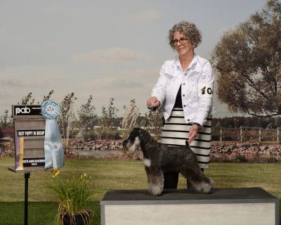 Can.Ch. Debessière Sakura 2025