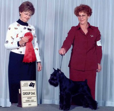 Can.Am. Ch.Debessière Midnight Bouncer 2001