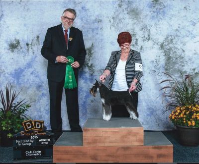 Can Ch.Debessière  Rain Drop 2015