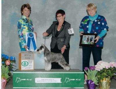 Can.AM.GCh. Debessière Douce Rebelle 2017