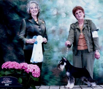 Can.Ch.Debessière Belle et Rebelle 2011