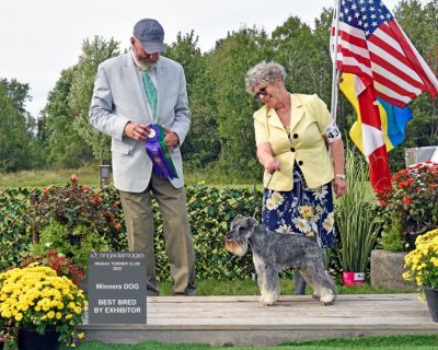 Ca.Ch.Debessière Play Boy 2023